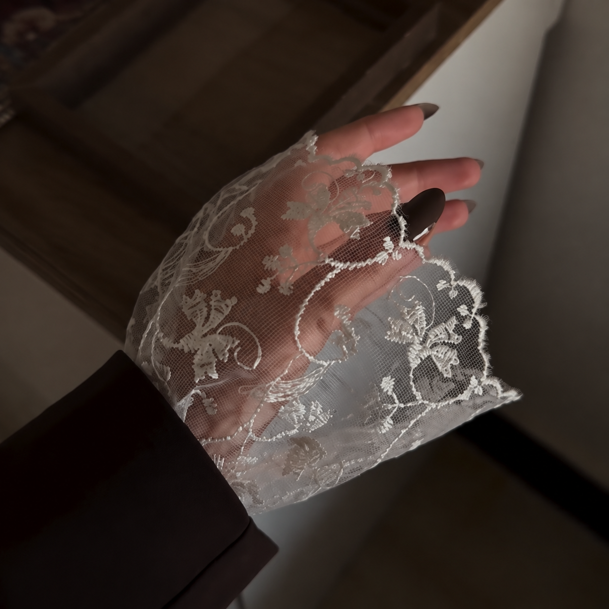 Lace Cuff Sleeves