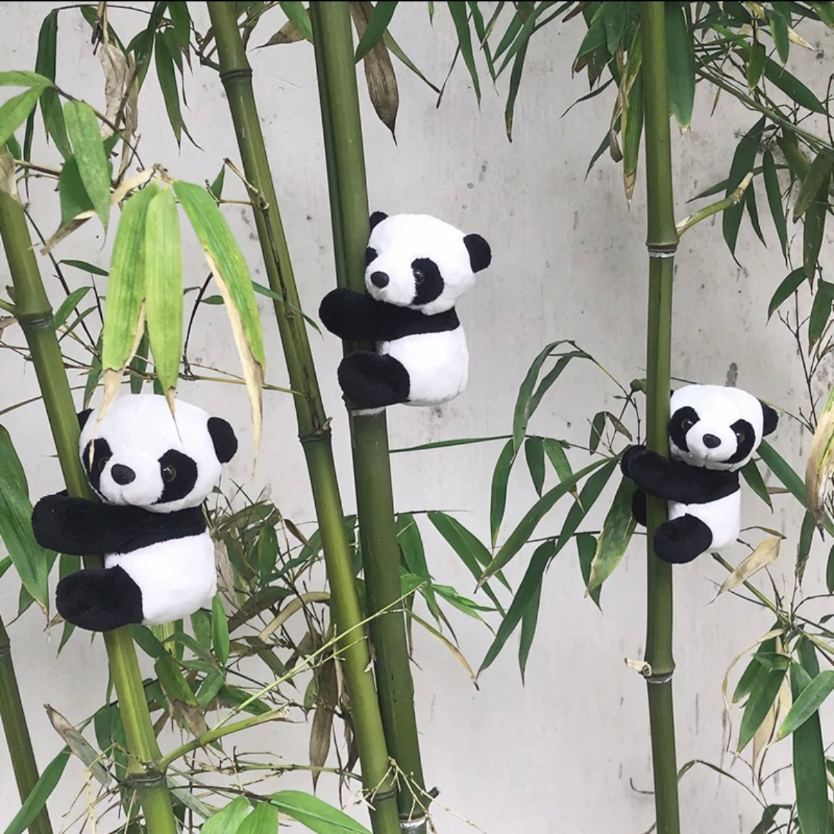 Cute Magnetic Panda